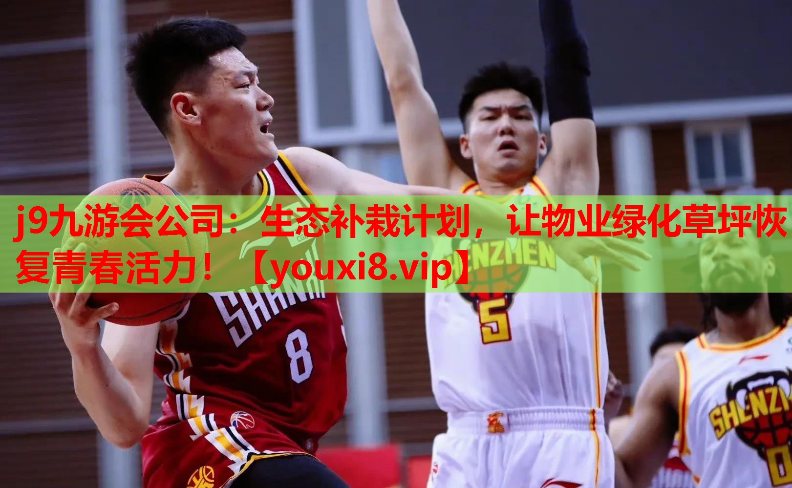 生态补栽计划，让物业绿化草坪恢复青春活力！