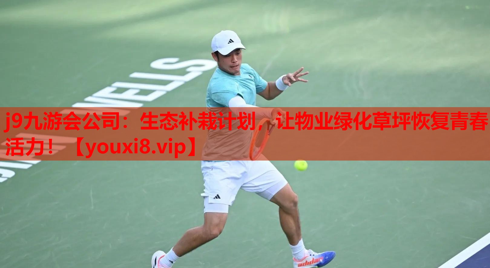 生态补栽计划，让物业绿化草坪恢复青春活力！